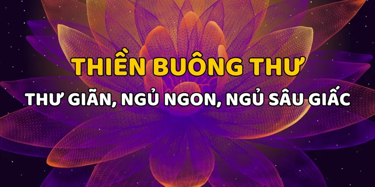 Ảnh bìa bộ video Thiền Buông Thư với hoa sen tím